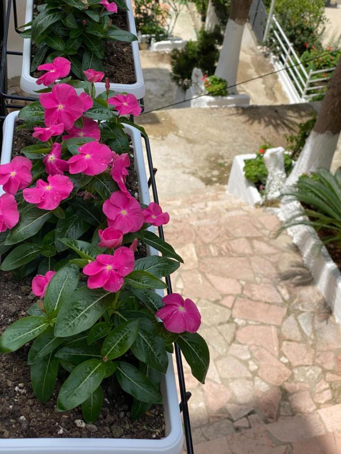 Apartamente Berti'S Garden Sarandë Exterior foto
